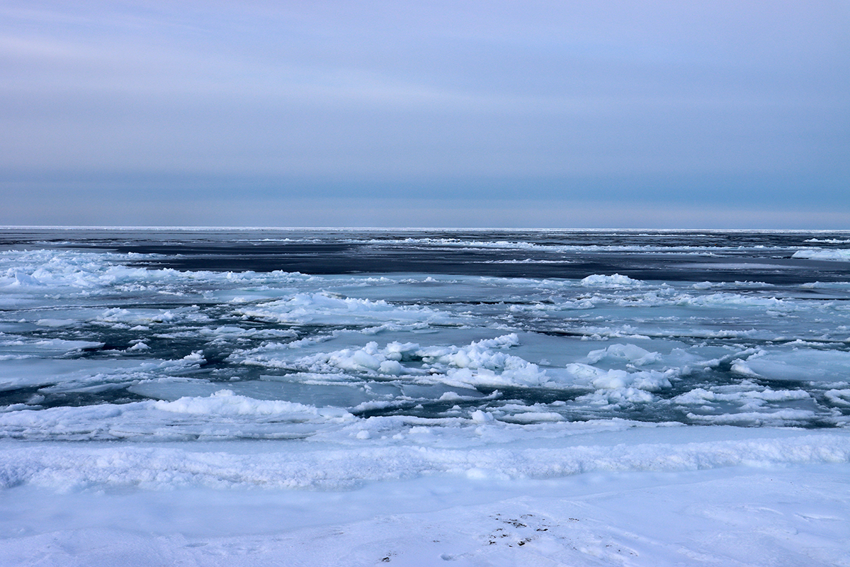 流氷の接岸
