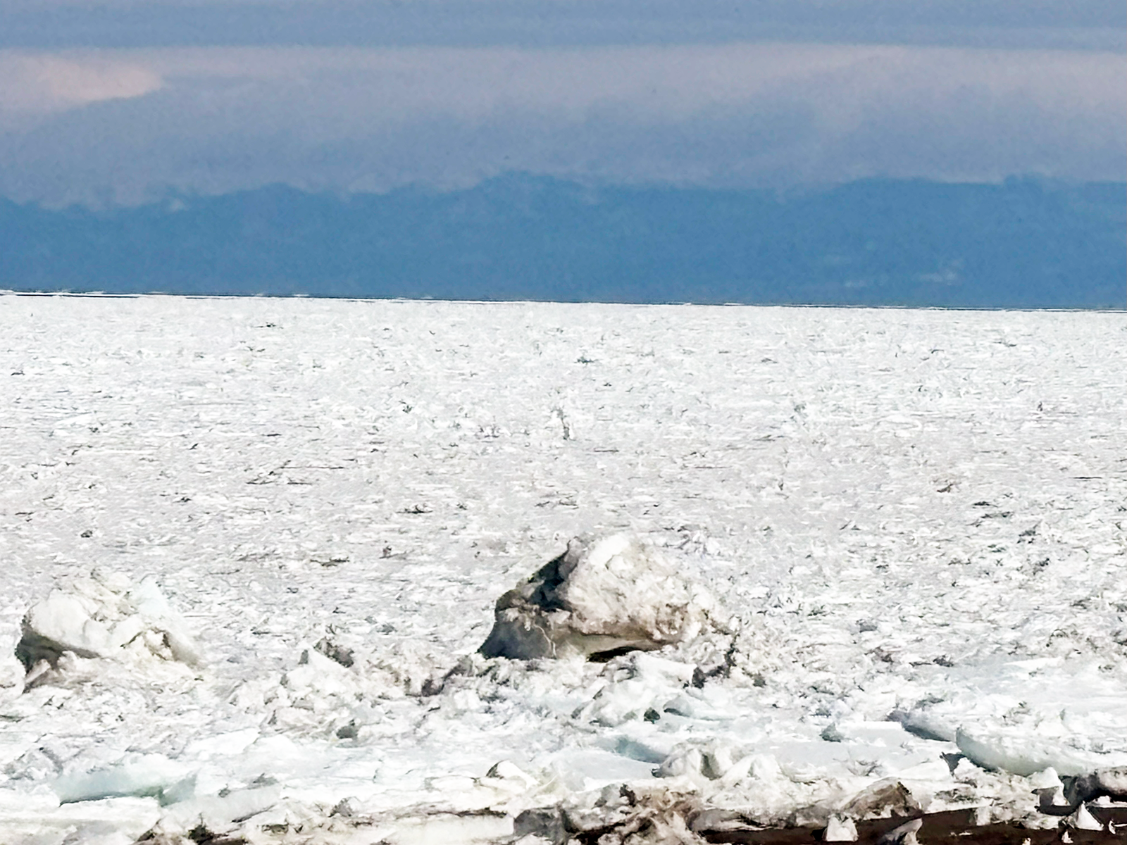 北海道 オホーツク 浜小清水 フレトイ海岸 戻ってきた流氷 2024年3月16日
