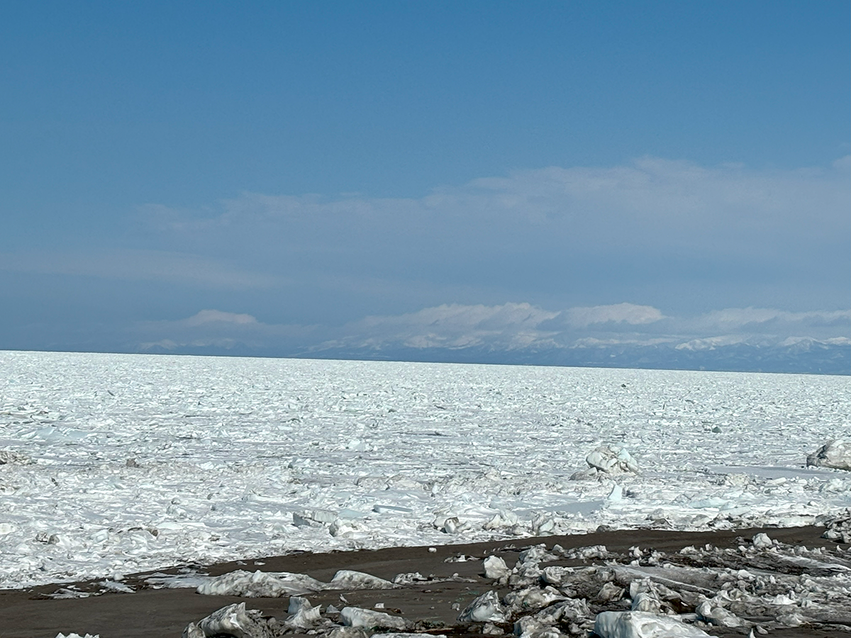 北海道 オホーツク 浜小清水 フレトイ海岸 戻ってきた流氷 2024年3月19日
