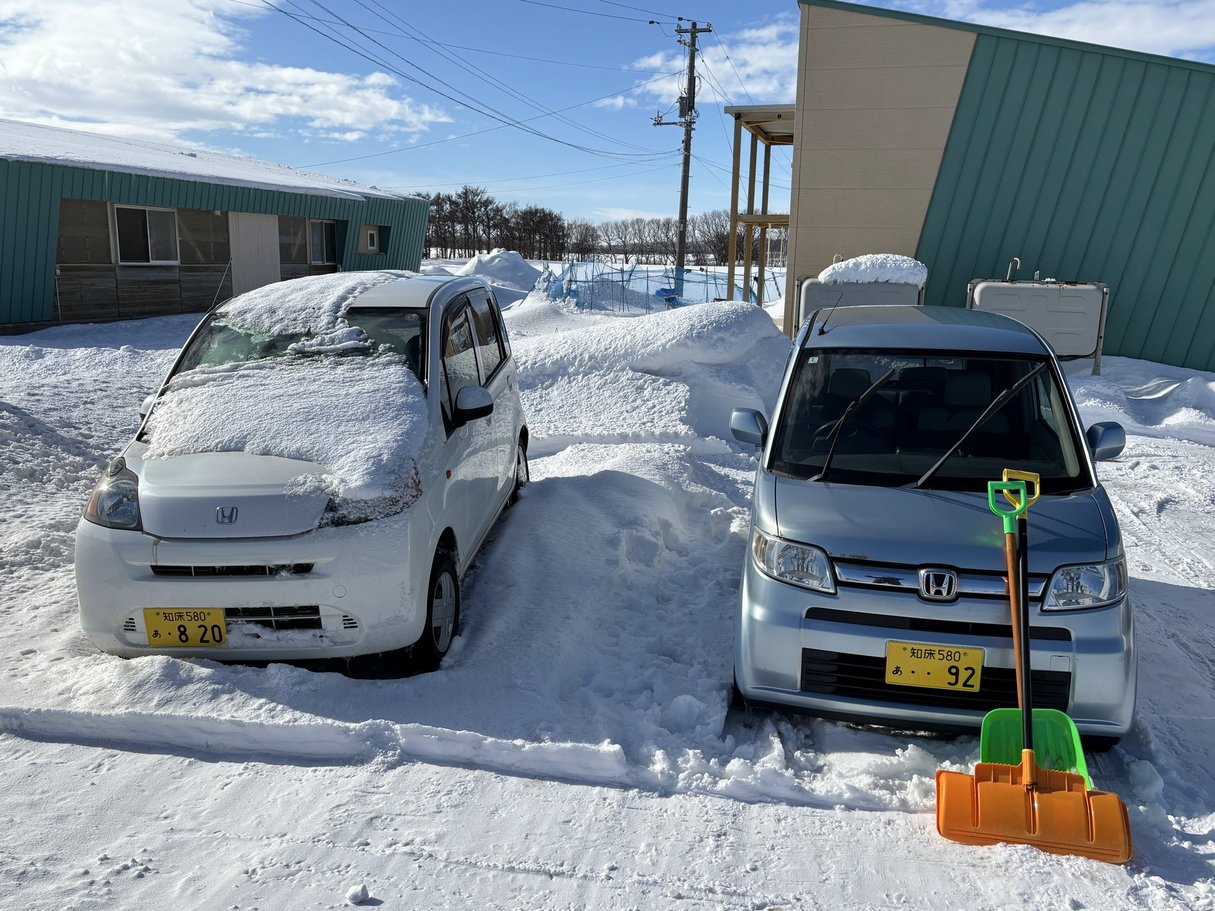 2025年2月4日の雪