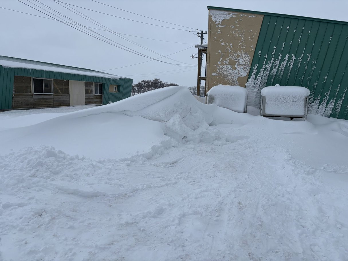 2025年2月8日の北海道・浜小清水 雪の山の中！