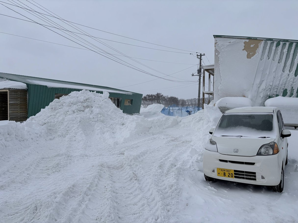 近所の農家の方が排雪をしてくれました！