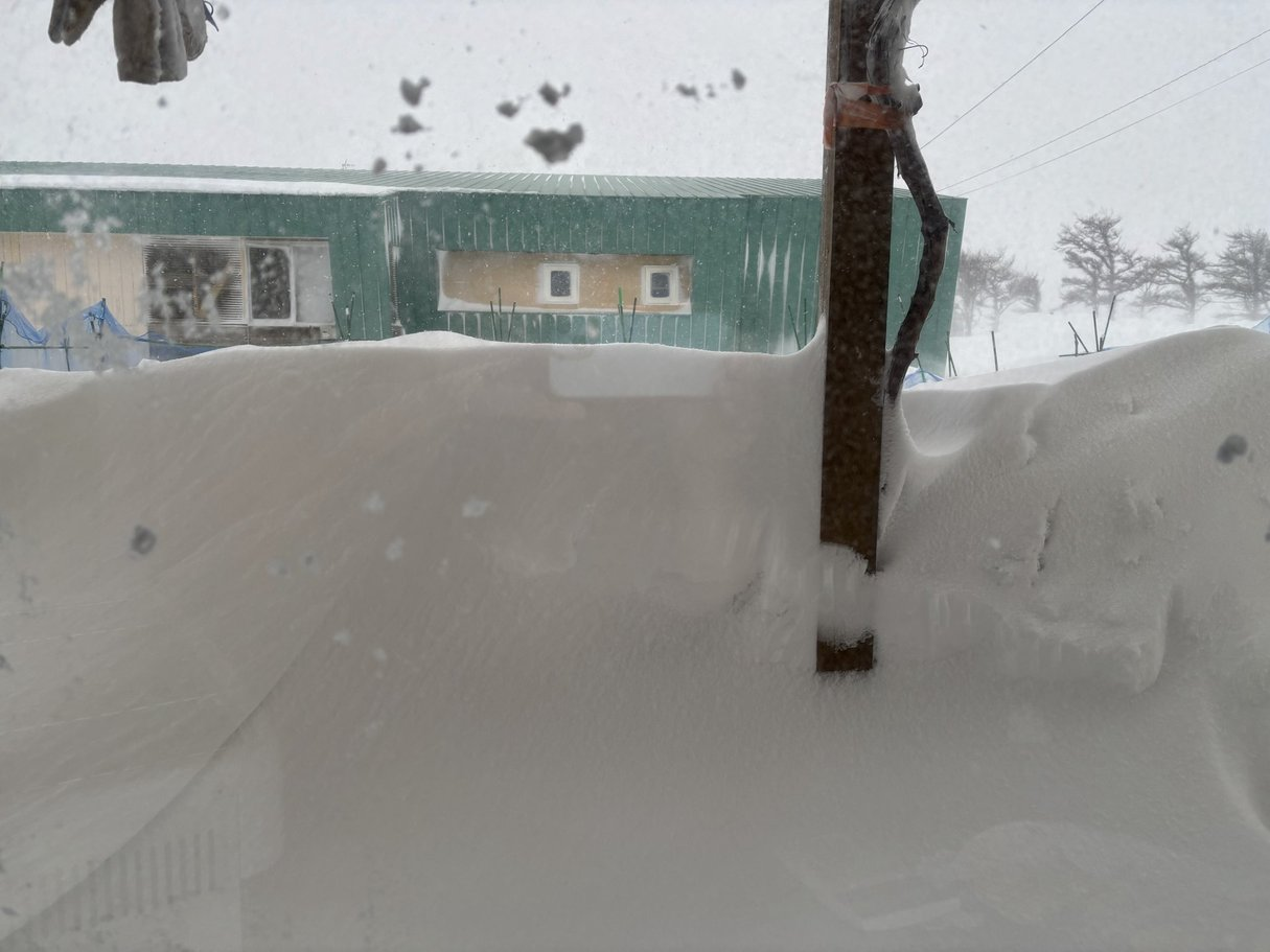 ■昨晩からずっと雪が降り続いています！家のベランダの除雪は3回かな！（北海道・小清水町・2月20日）