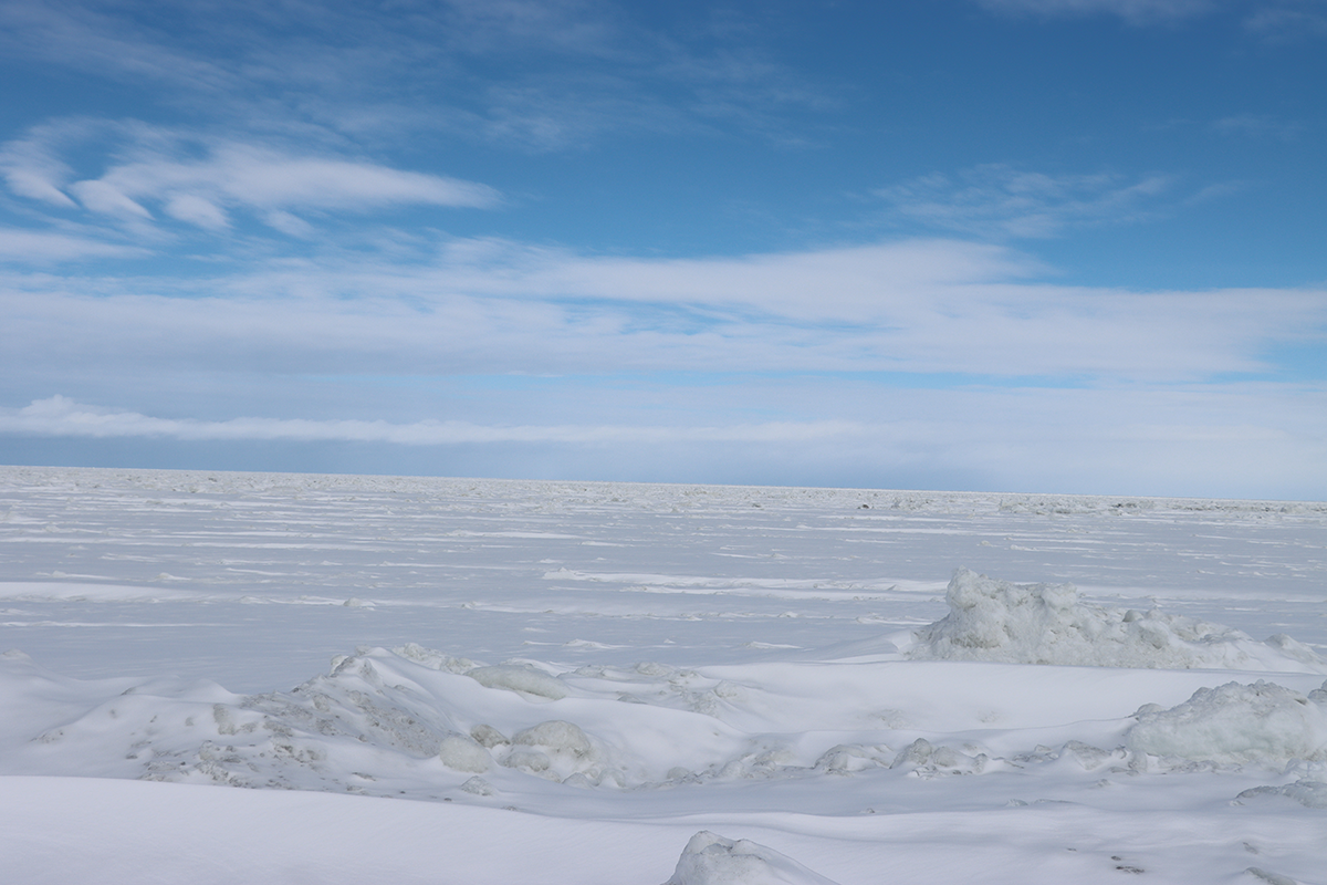 ■2025年2月21日 北海道・浜小清水・フレトイ海岸 流氷接岸
