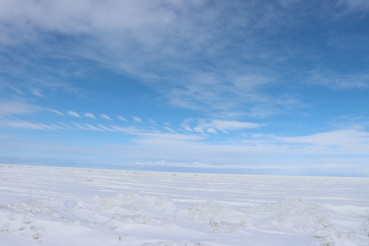 ■2025年2月21日 北海道・浜小清水・フレトイ海岸 流氷接岸
