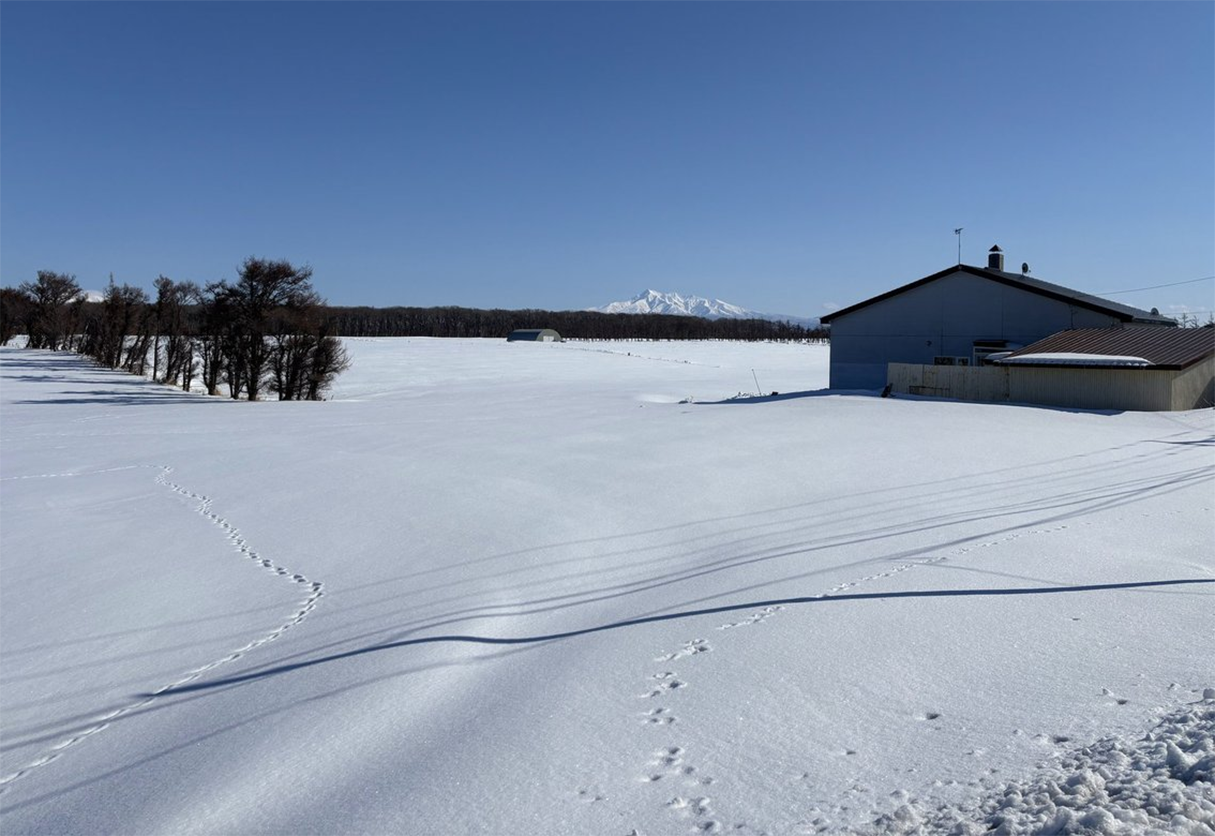 我が家の近くから見える斜里岳（2025年2月24日）