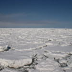 北海道・浜小清水・フレトイ海岸 流氷再接岸 2025年3月8日