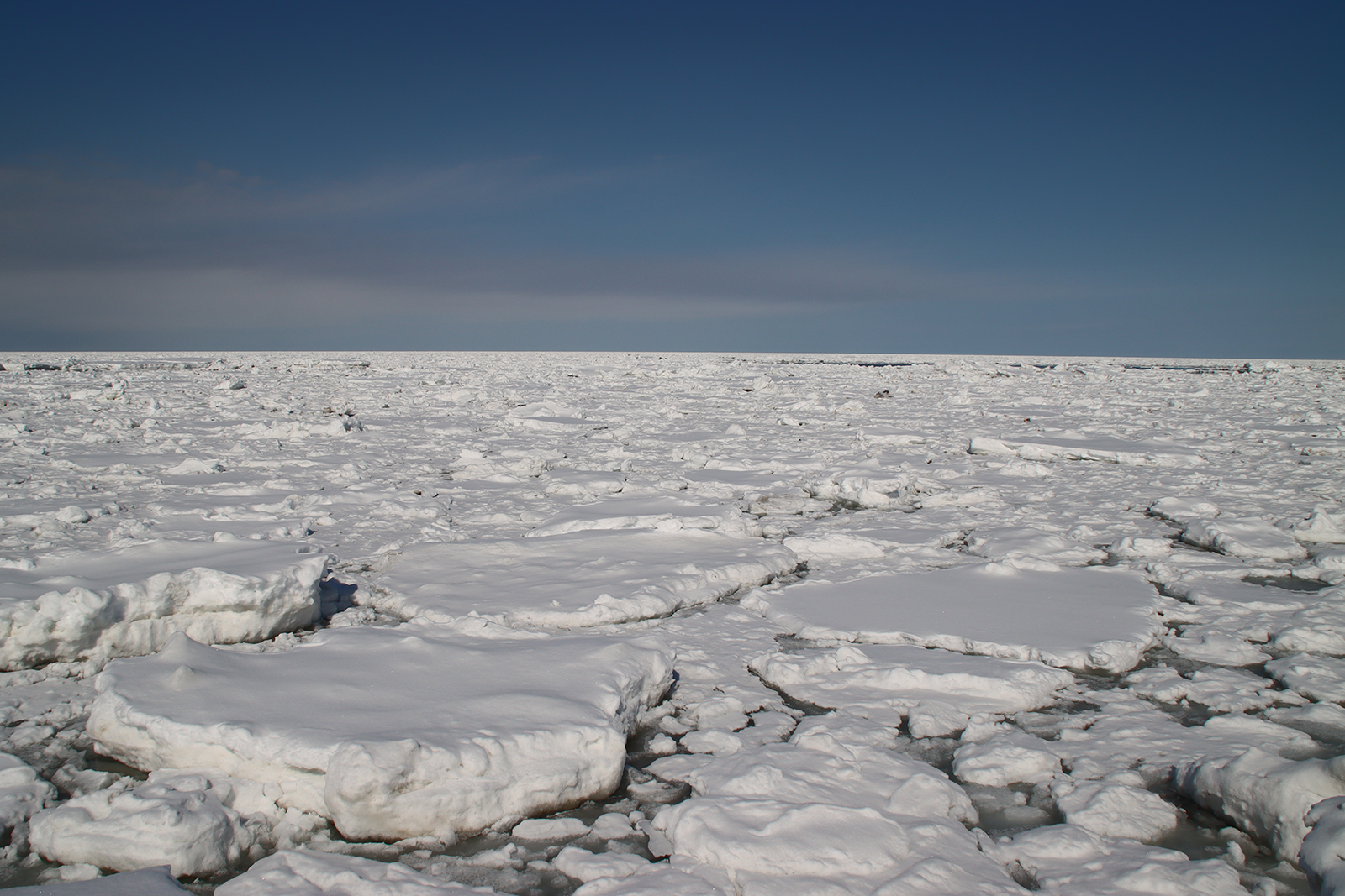 北海道・浜小清水・フレトイ海岸 流氷再接岸 2025年3月8日