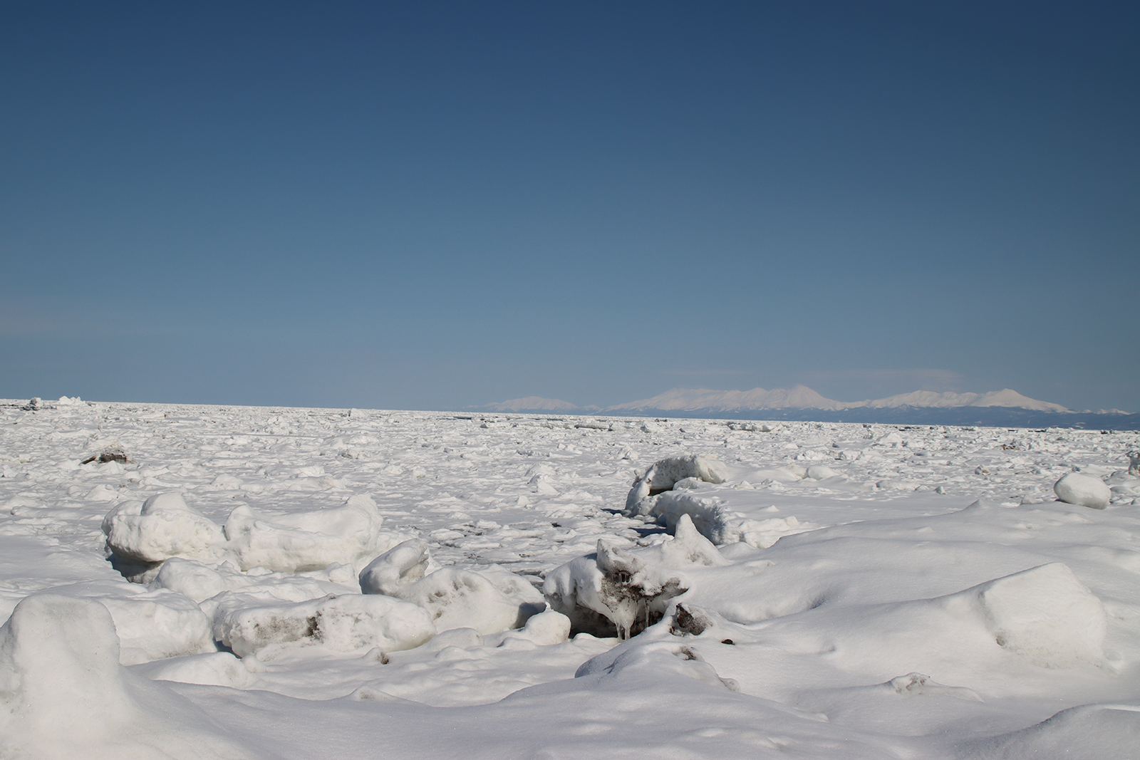 北海道・浜小清水・フレトイ海岸 流氷再接岸 2025年3月8日