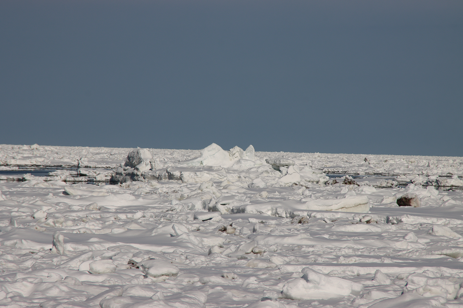 北海道・浜小清水・フレトイ海岸 流氷再接岸 2025年3月8日