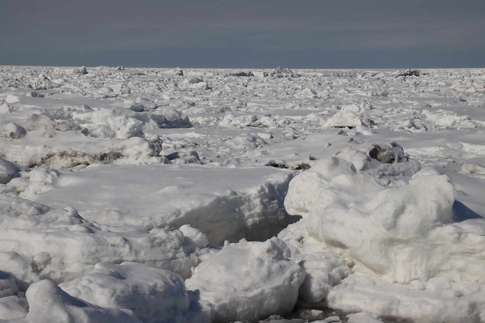 北海道・浜小清水・フレトイ海岸 流氷再接岸 2025年3月8日