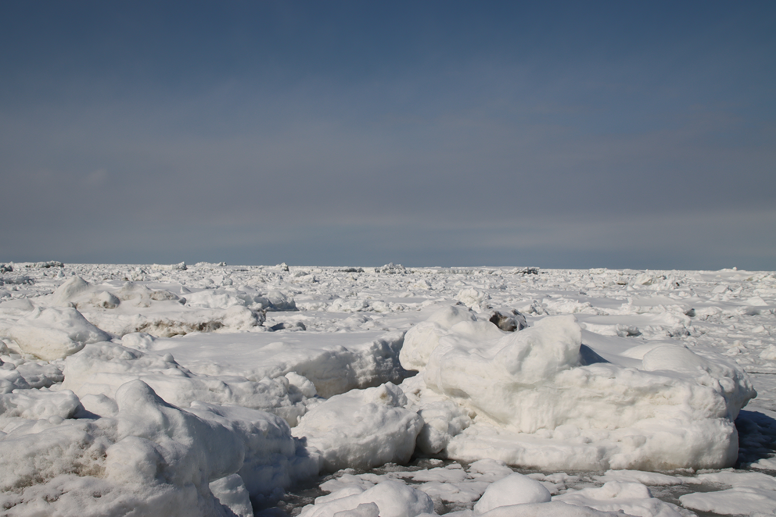 北海道・浜小清水・フレトイ海岸 流氷再接岸 2025年3月8日