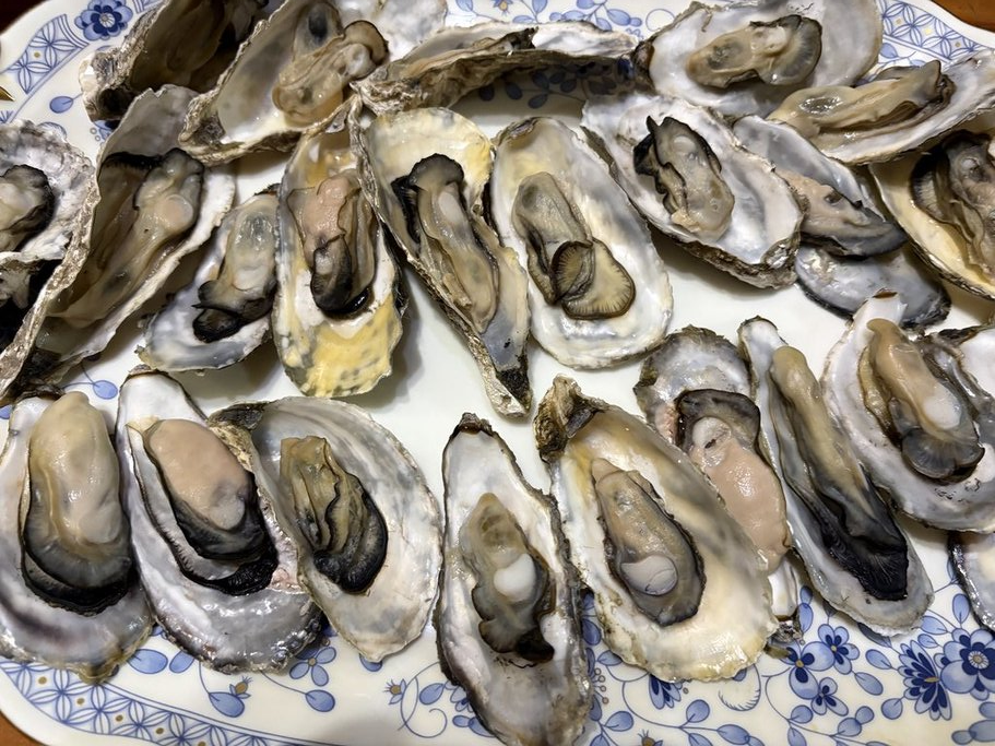 濤沸湖の牡蠣
