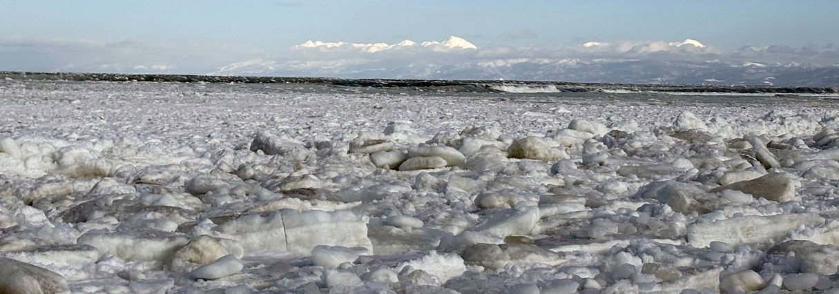 ◆お問い合わせ ◆お問い合わせ