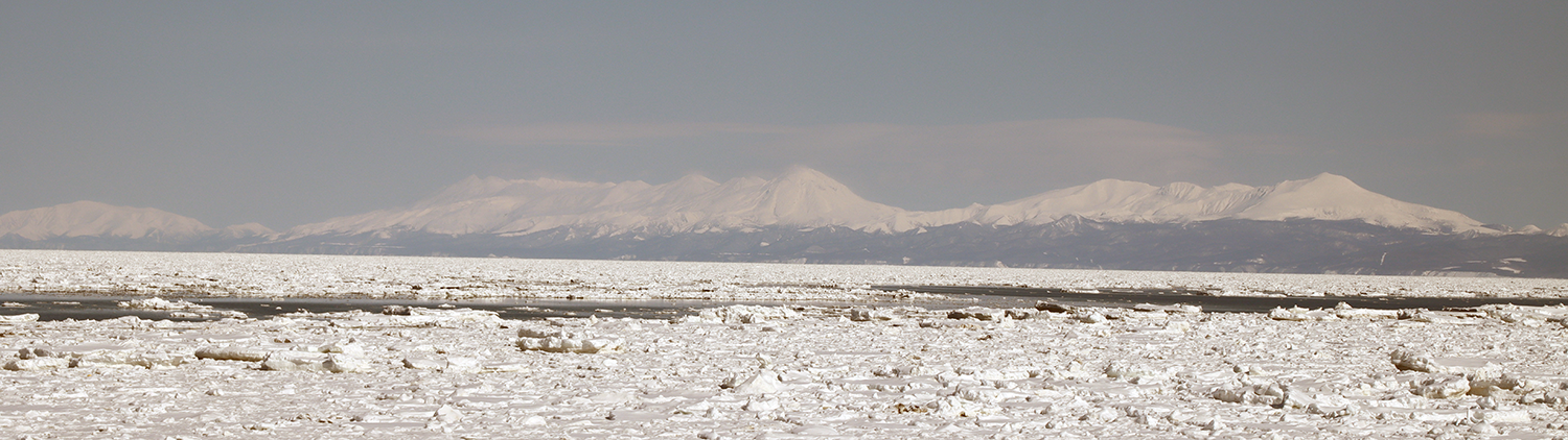 ◆ITの訪問出張サポート ◆ITの訪問出張サポート
