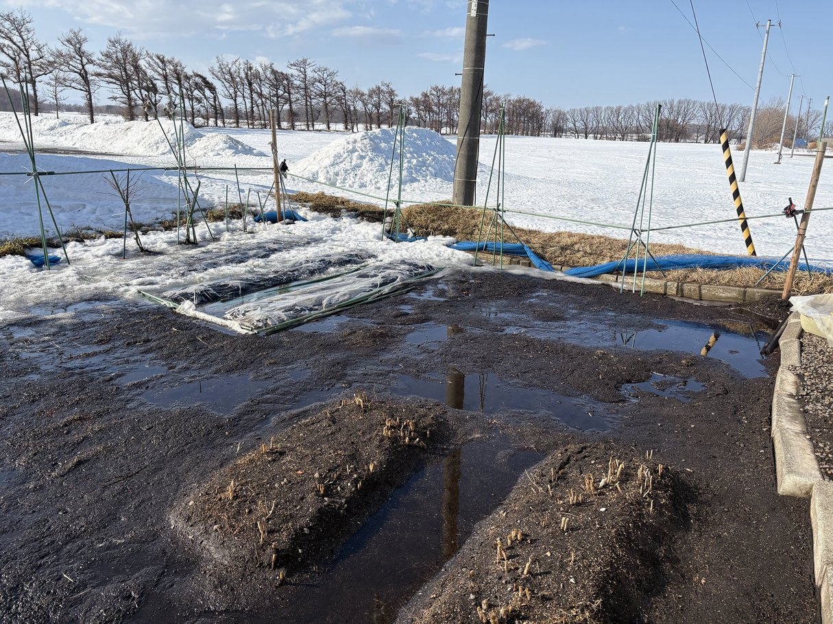 北海道・小清水町の我が家 一気に雪解けが進む!